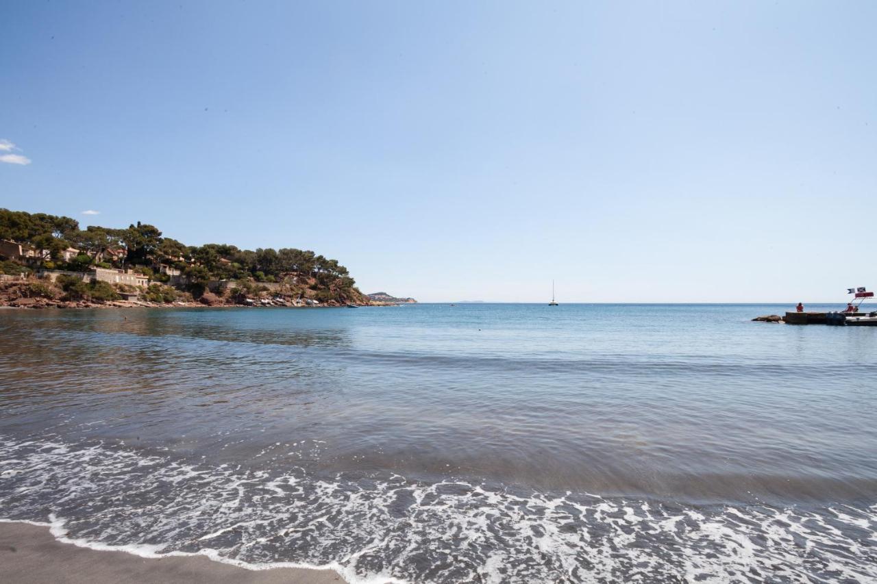 T2 - La Seyne Sur Mer - Fabregas Exterior photo