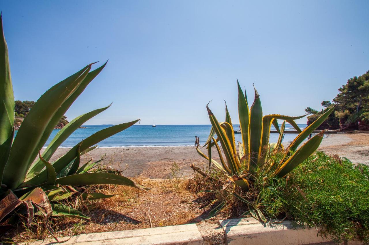 T2 - La Seyne Sur Mer - Fabregas Exterior photo